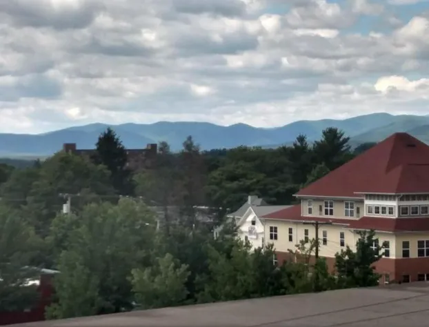 Downtown Inn and Suites hotel detail image 1