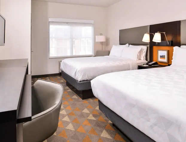 Holiday Inn & Suites Dallas-Addison by IHG hotel detail image 4