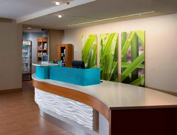 SpringHill Suites by Marriott Atlanta Alpharetta hotel detail image 3