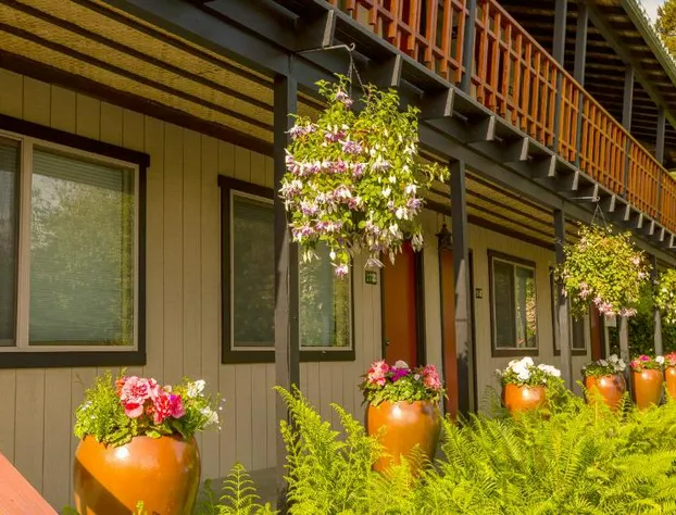 Discovery Inn hotel detail image 1