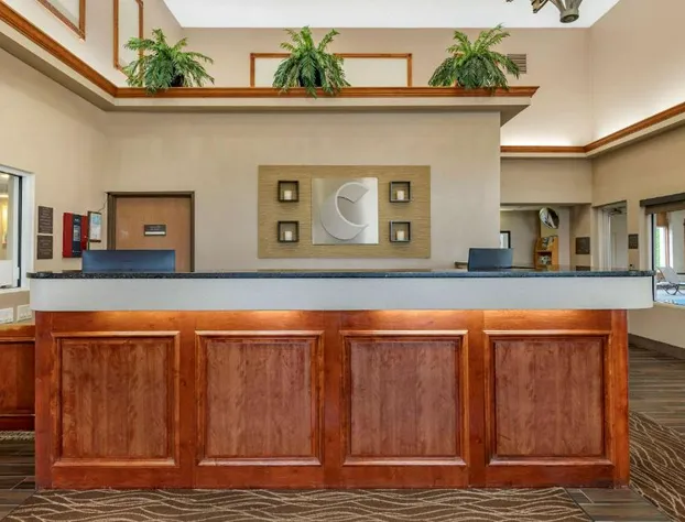 Comfort Inn & Suites Diamondale – Lansing hotel detail image 2
