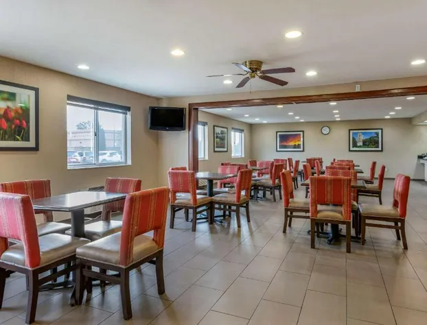 Comfort Inn & Suites Diamondale – Lansing hotel detail image 4