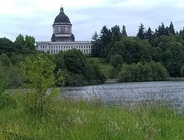 Olympia Inn hotel detail image 4