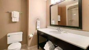 Best Western Swan Castle Inn hotel detail image 4