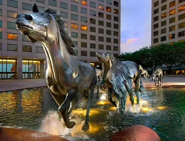 Hilton Garden Inn DFW Airport South hotel detail image 1