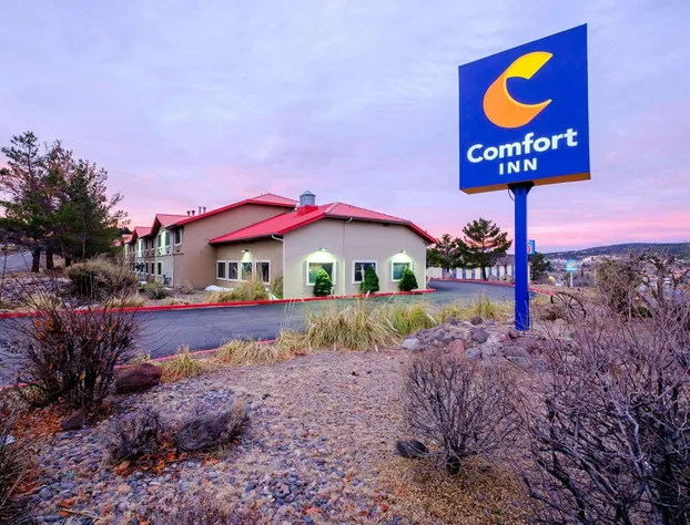 Comfort Inn Near Gila National Forest hotel detail image 1
