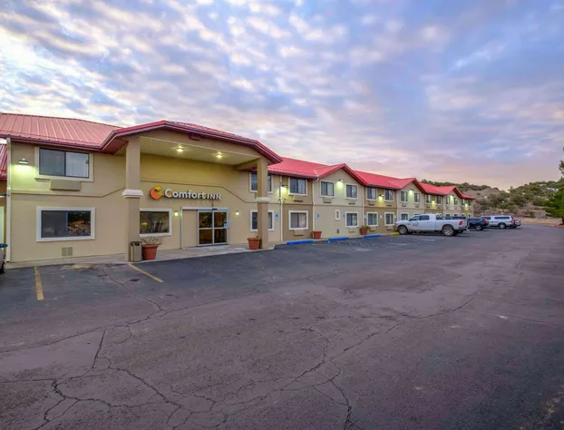 Comfort Inn Near Gila National Forest hotel detail image 2