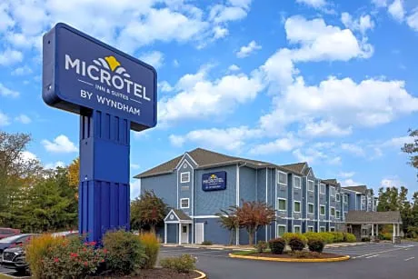 Microtel Inn & Suites by Wyndham Salisbury hotel detail image 2