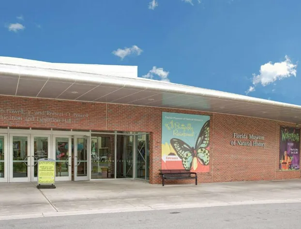 Super 8 by Wyndham Gainesville I-75 Hospital University Area hotel detail image 3