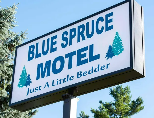 Blue Spruce Motel hotel detail image 2