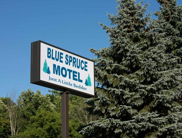 Blue Spruce Motel hotel detail image 4