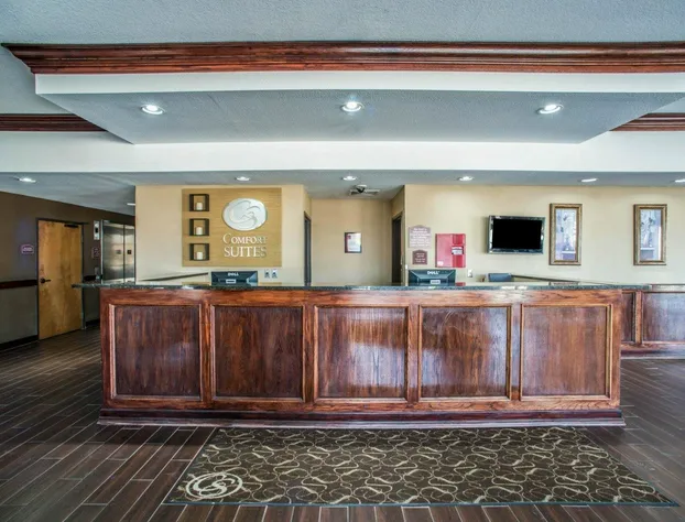 Comfort Suites Columbia - University Area hotel detail image 4