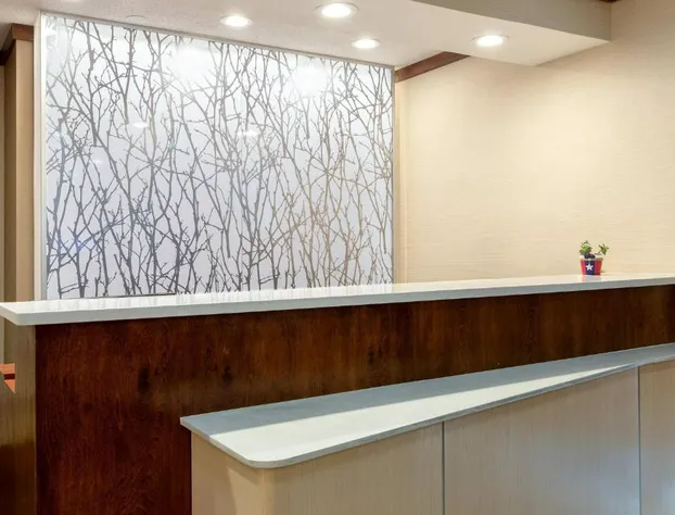 Fairfield Inn and Suites by Marriott Austin South hotel detail image 2