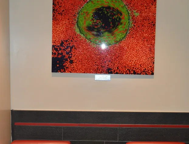 The Bayard hotel detail image 2