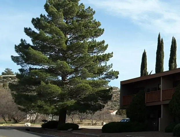 Beaver Creek Inn hotel detail image 4