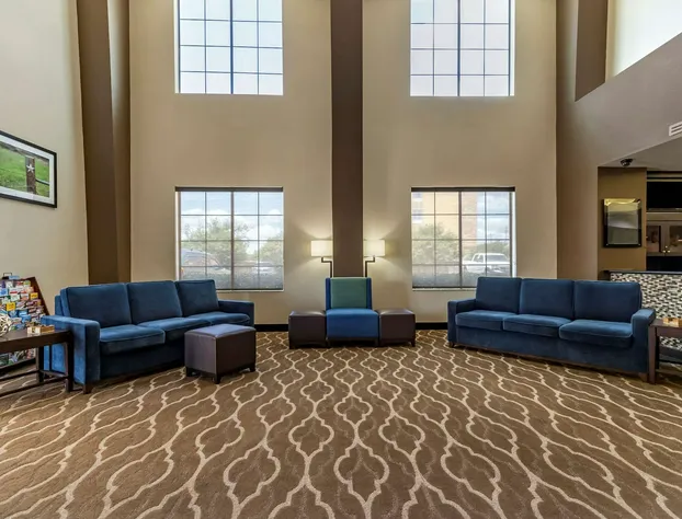 Comfort Suites Buda - Austin South hotel detail image 3