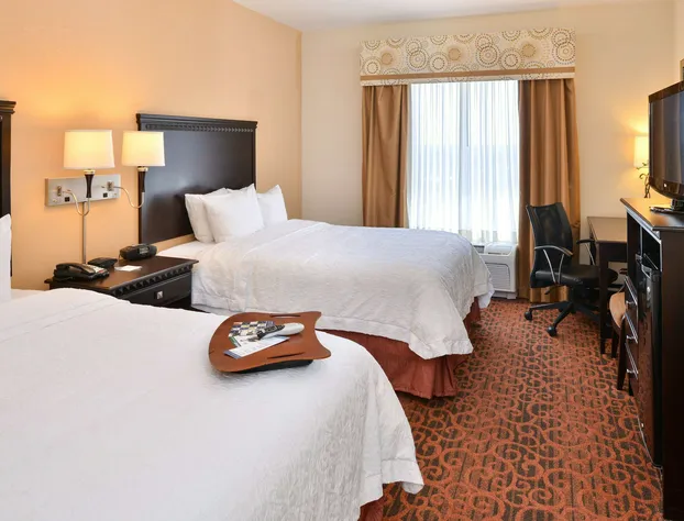 Hampton Inn Pecos hotel detail image 4