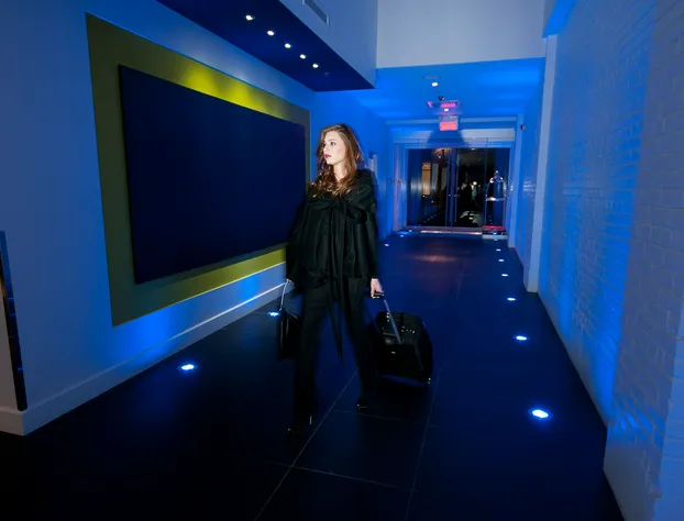 Hotel Chez Swann hotel detail image 1