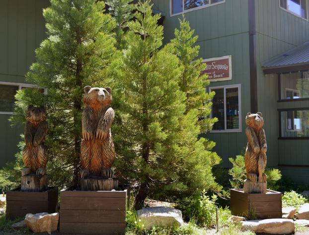 Montecito Sequoia Lodge hotel detail image 4