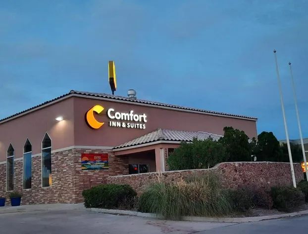 Comfort Inn & Suites I-25 near Spaceport America hotel detail image 3