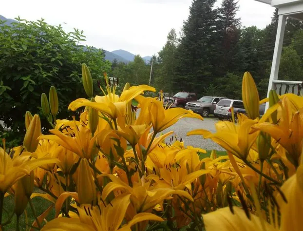 Carlson's Lodge hotel detail image 2