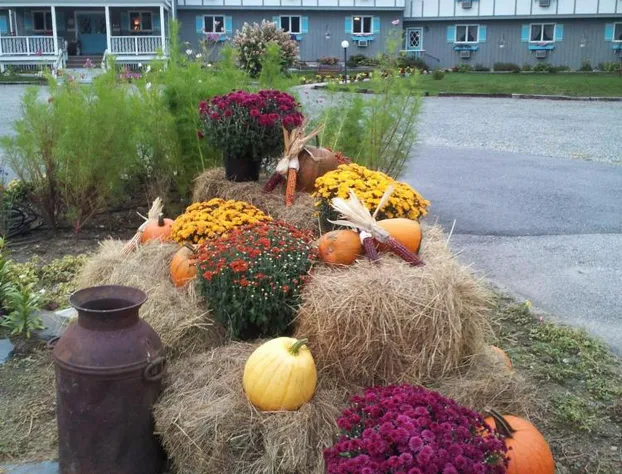 Carlson's Lodge hotel detail image 3