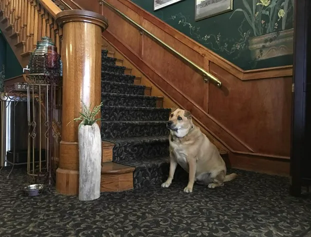 Kalispell Grand Hotel hotel detail image 2