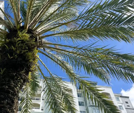 The Point Hotel & Suites hotel detail image 4