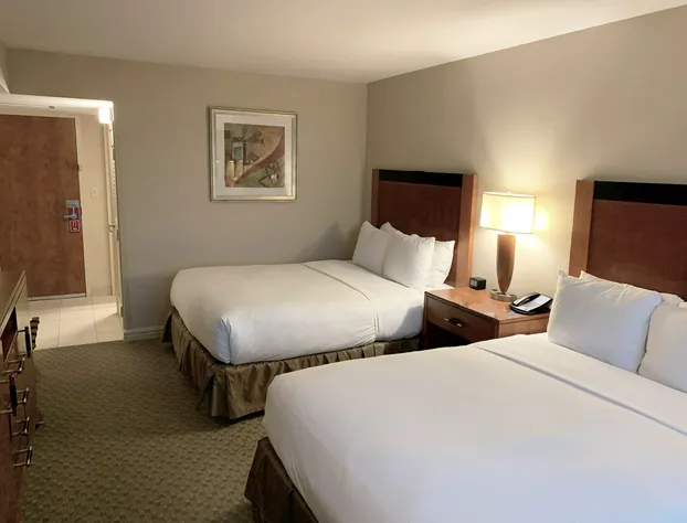 Hilton Jfk Airport hotel detail image 3