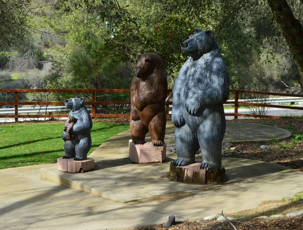 Cedar Lodge hotel detail image 3