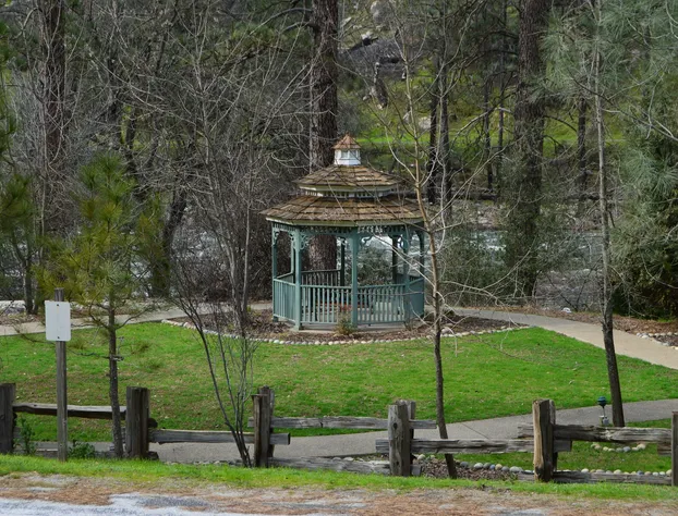 Cedar Lodge hotel detail image 4