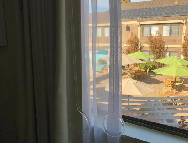 Maple Tree Inn hotel detail image 3