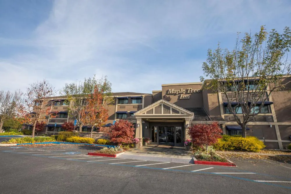 Maple Tree Inn hotel hero