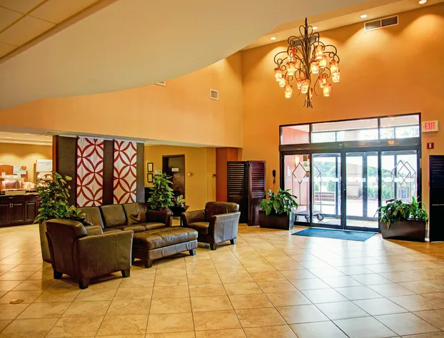 Holiday Inn Express Suites South - Tyler by IHG hotel detail image 3