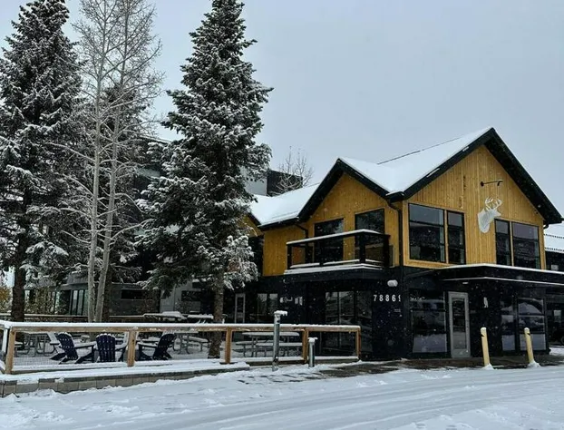 Gravity Haus Winter Park hotel detail image 1