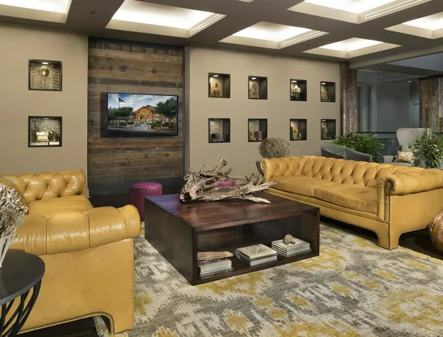 Crowne Plaza Resort Asheville by IHG hotel detail image 1