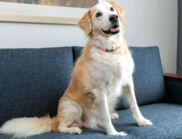 Courtyard by Marriott Sarasota at University Town Center hotel detail image 4