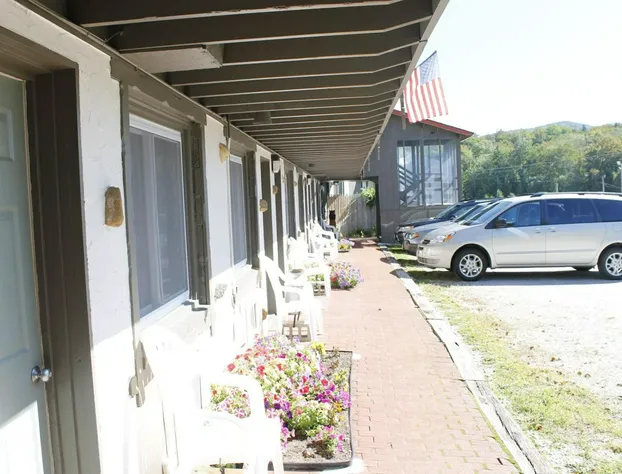 Happy Bear Motel hotel detail image 3