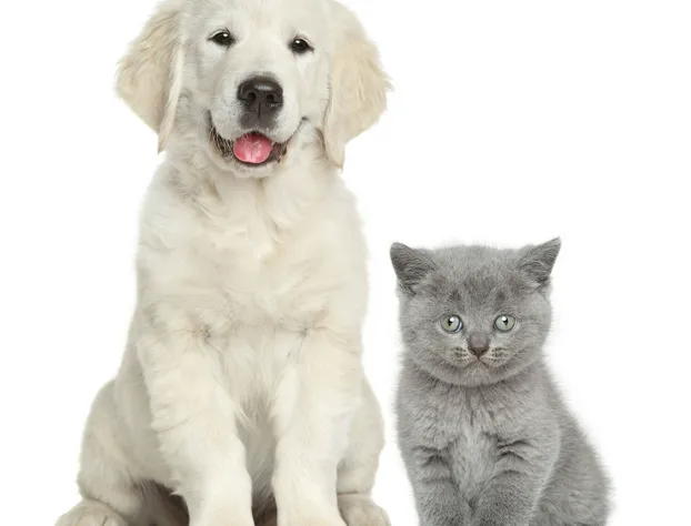 Super 8 by Wyndham Fort Nelson BC hotel detail image 4