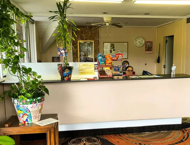 Sunset Inn Manning hotel detail image 4