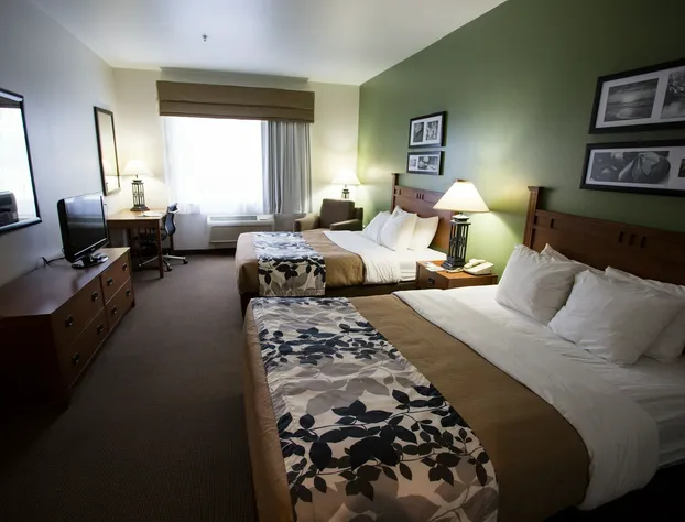 Sleep Inn & Suites Conference Center Eau Claire North hotel detail image 4