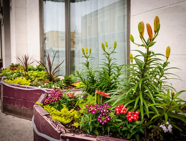 Peterborough Inn & Suites Hotel hotel detail image 2