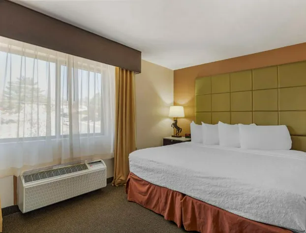 Best Western Plus Country Inn & Suites hotel detail image 4