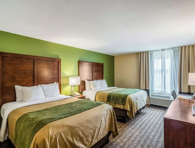 Comfort Inn & Suites Panama City North hotel detail image 3