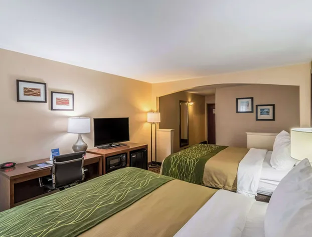 Comfort Inn & Suites Panama City North hotel detail image 3