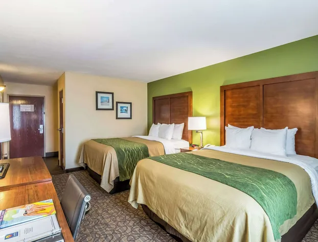 Comfort Inn & Suites Panama City North hotel detail image 4