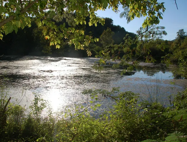 Creekwalk Inn and Cabins hotel detail image 1