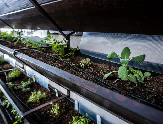 FOUNDRE Phoenix hotel detail image 2