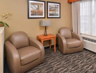 Best Western Plus Mountain View Auburn Inn hotel detail image 3