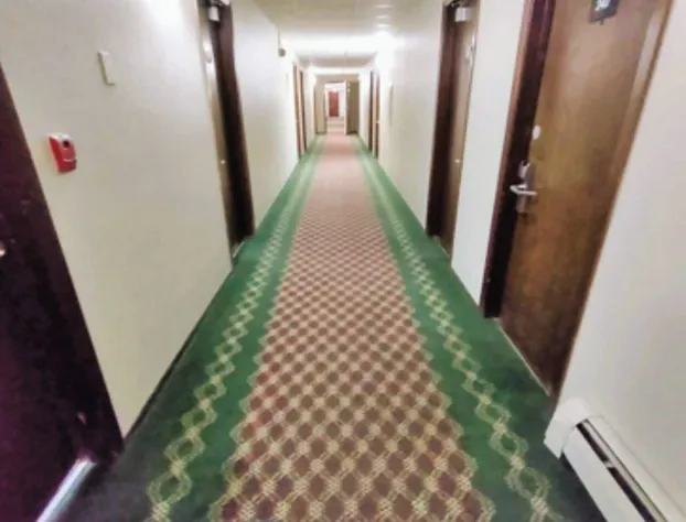 Love Hotels Staples by OYO at HWY 10 MN hotel detail image 3